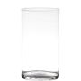 Vaso di vetro a cilindro SANYA EARTH, trasparente, 21cm, Ø14cm