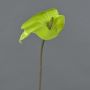 Anturio artificiale FEIWU, verde chiaro, 65 cm