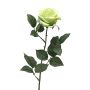 Rosa artificiale KAILIN, verde chiaro, 65 cm
