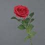Rosa artificiale KAILIN, rossa, 65 cm
