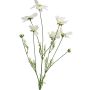 Ramo artificiale di cosmos BAILING, crema, 90 cm