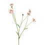 Centaurea artificiale TAOTAO, rosa scuro, 65 cm