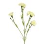 Garofano artificiale AHONG, crema, 60 cm