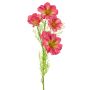 Ramo decorativo di cosmos YUNIAN, rosa, 75 cm
