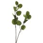 Ramo decorativo di eucalipto AOSHAN, verde, 80 cm