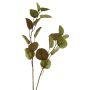 Ramo decorativo di eucalipto AOSHAN, marrone-verde, 80 cm