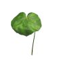 Galax artificiale SHUJIA, 12 pezzi, verde, 20 cm