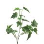 Ramo decorativo di edera LANSHUO, verde-bianco, 55 cm