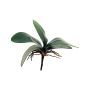 Foglie artificiali di orchidea Phalaenopsis XIAOQIN con radici aeree, 25cm