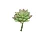 Sedum rubrotinctum artificiale AOLUO su stelo, verde-rosso, 16cm
