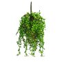 Senecio in plastica pensile RUIAN su stelo, verde, 25 cm