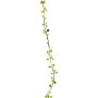 Ghirlanda artificiale di muehlenbeckia JIAMIN, verde, 240 cm