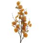 Ramo decorativo di eucalipto YURUO, arancione, 90 cm