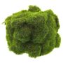 Pietre decorative di muschio YUELAN, verde, 20x14cm