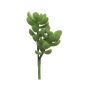 Albero dei soldi artificiale MUNING, stelo, verde, 14 cm