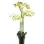 Orchidea Phalaenopsis artificiale CHENXU, bianco, 110 cm