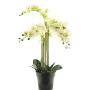Orchidea Phalaenopsis artificiale CHENXU, bianco, 60 cm
