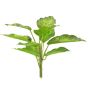 Pianta decorativa di dieffenbachia XUMEI, stelo, verde-crema, 25 cm