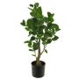 Pianta di aralia in plastica SHANG, tronco artificiale, verde, 65 cm