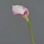 Calla di simulazione MARIOLA, rosa-bianco, 80cm, 8x15cm