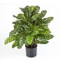 Calathea sintetica BADU, grande, verde-giallo, 80cm
