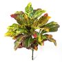Croton artificiale TAAVI su stelo, multicolore, 40cm