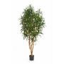 Dracaena anita artificiale KAYLIN, tronchi naturali, verde, 150cm