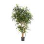 Albero di dracaena anita finto KATARA, tronchi veri, verde, 120cm