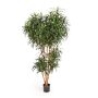 Albero di dracaena anita finto KATARA, tronchi veri, verde, 210cm