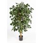 Ficus Benjamini artificiale DECIO, tronchi naturali, verde, 150cm