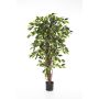 Ficus artificiale JARLAN, tronchi veri, verde, 150cm