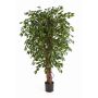 Albero di ficus finto DAKU, tronchi naturali, verde, 120cm