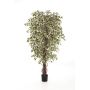 Albero di ficus finto DAKU, tronchi naturali, verde-bianco, 150cm
