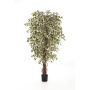 Albero di ficus finto DAKU, tronchi naturali, verde-bianco, 210cm