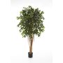 Albero di ficus artificiale AURIOL, tronchi veri, verde, 210cm