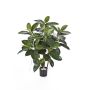 Ficus Elastica artificiale NOVA, tronchi veri, verde, 90cm