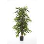 Albero longifolia artificiale AKUMO, tronchi veri, verde, 120cm