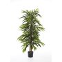 Albero longifolia artificiale AKUMO, tronchi veri, verde, 210cm