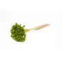 Bouquet secco AVISSA, fiore di collina brasiliano, verde mela, 45-60cm, Ø13cm