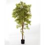 Acero giapponese finto AIKO tronco vero, verde chiaro-rosso 150cm