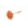 Bouquet secco AVISSA, fiore di collina brasiliano, pesca, 45-60cm, Ø13cm