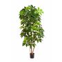 Schefflera deluxe artificiale COOPER, tronchi veri, verde, 190cm