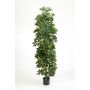 Schefflera artificiale ANDREW, tronchi naturali, verde-bianco, 180cm