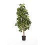 Schefflera artificiale SAMANTHA, tronchi veri, verde-bianco, 170cm