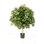 Schefflera finta ANTHONY, tronco naturale, verde-bianco, 110cm, Ø90cm