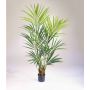 Palma kenzia artificiale OMAYRA, 170cm