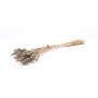 Erba di Lagurus essiccata BORKA, mazzo, grigio, 55-75cm, Ø12cm