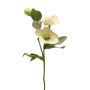 Ramo decorativo di rosa di Natale SHIEN, ghiacciato, bianco, 55 cm