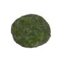 Tappeto decorativo in muschio FANGYU, verde, Ø30cm