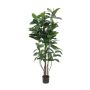 Albero della gomma finto VICA, tronchi artificiali, verde, 150cm